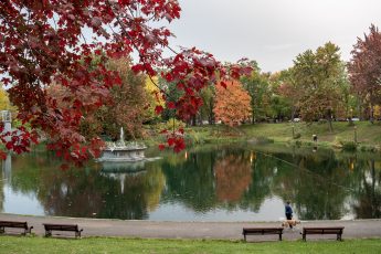 automne-montréal-lafontaine